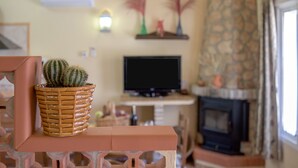 Een woonkamer met een televisie, een open haard en een cactus in een pot.