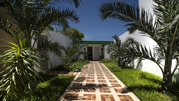 Jardin
