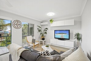 TV, DVD player, books, video library