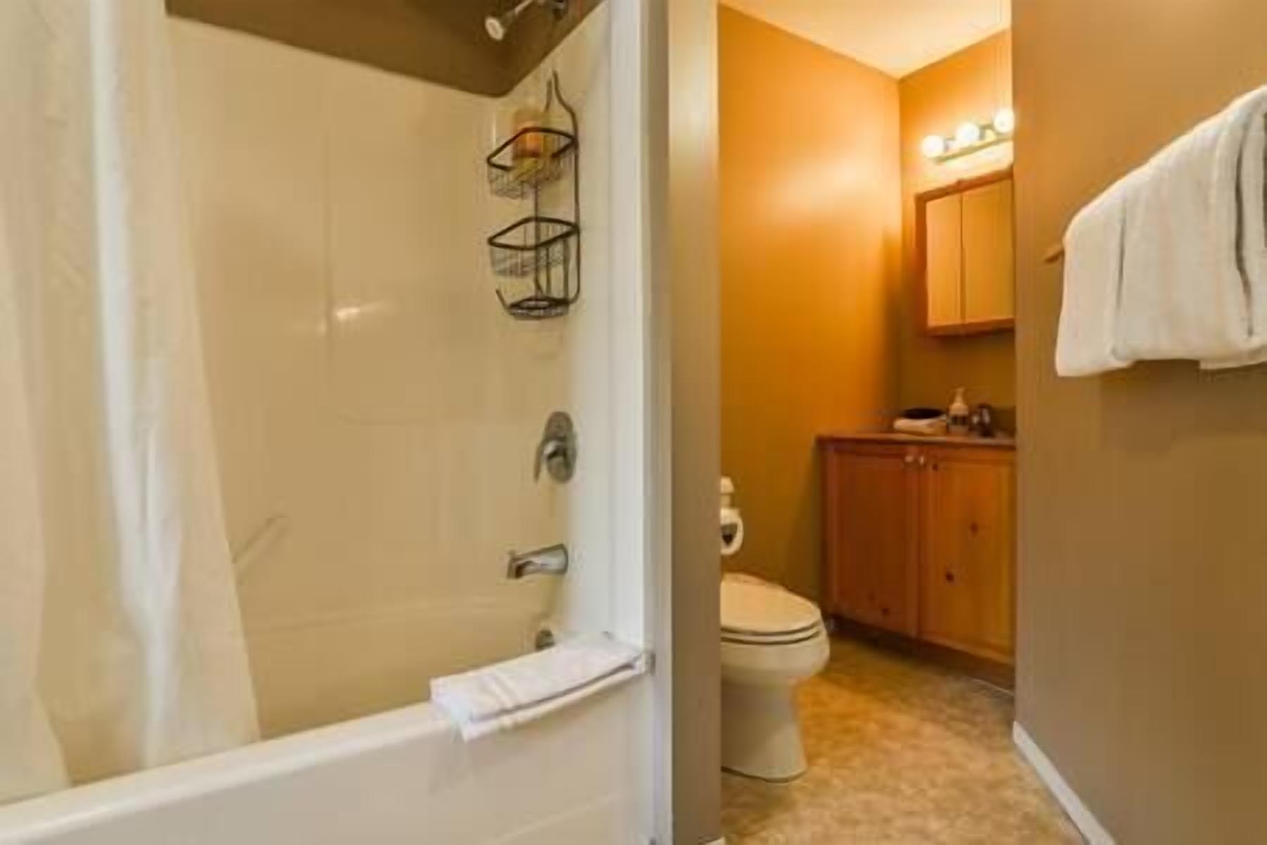 Une salle de bain avec une baignoire, des toilettes et un meuble-lavabo en bois.