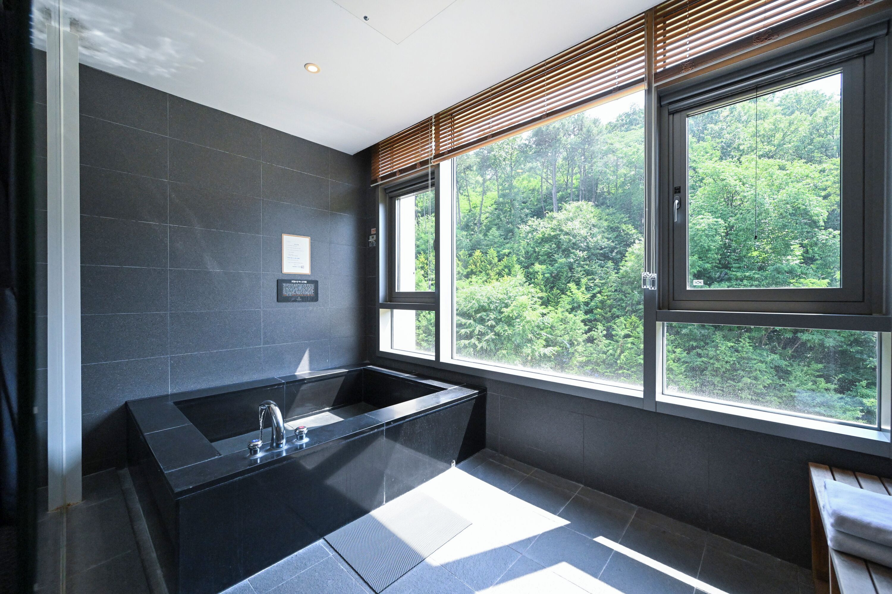 (breakfast included) mountain view junior suite double | bathroom | shower, rainfall showerhead, free toiletries, hair dryer