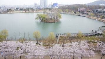 A lake with a small island, surrounded by trees and a cityscape in the background.