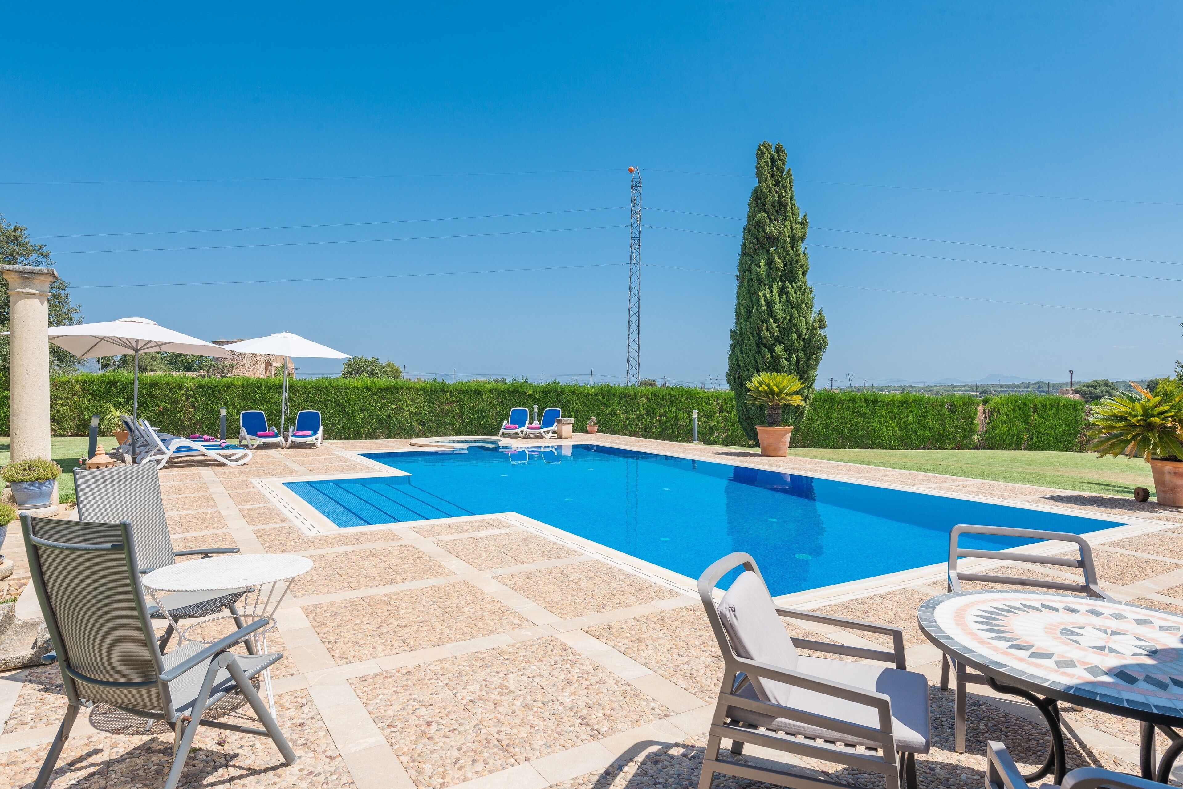 Una piscina con lettini e ombrelloni, immersa in un giardino curato e con un'alta pianta.