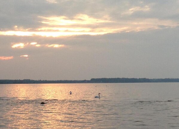 House | View from property