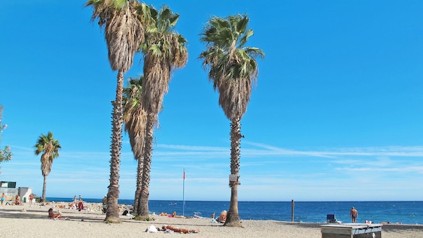 Beach - Stunning  villa for 8 guests with A/C, WIFI, TV, terrace and pets allowed (Sanremo)