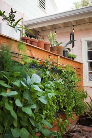 Exterior detail - The Little Pink Guest Suite (Tampa)