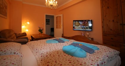 Apartment No. 7 Horova 8