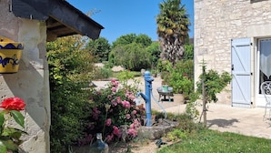 A courtyard with a stone building, a blue water feature, and a variety of plants and flowers.