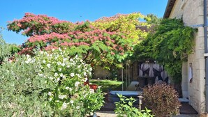 A garden with various plants and a stone wall.