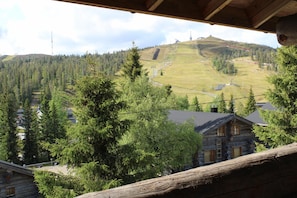 Cabin, 1 Bedroom | Balcony