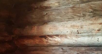 Rukako Salmikankaan Kelo C3