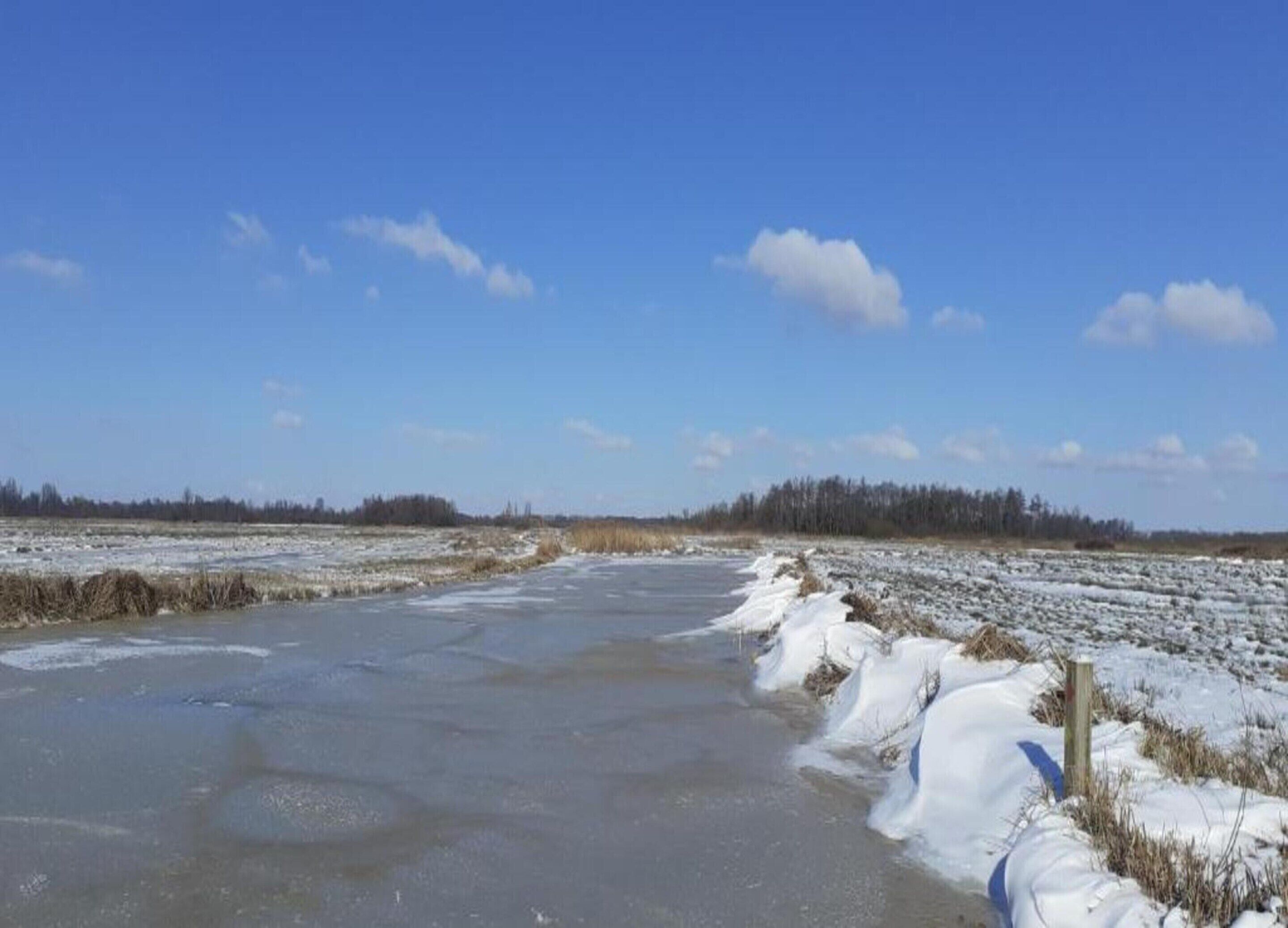 A frozen landscape with a clear sky and distant trees.