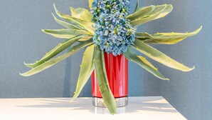 A red vase with blue flowers and green leaves on a white surface against a blue wall. - Victus Apartamenty - Malmo (Sopot)