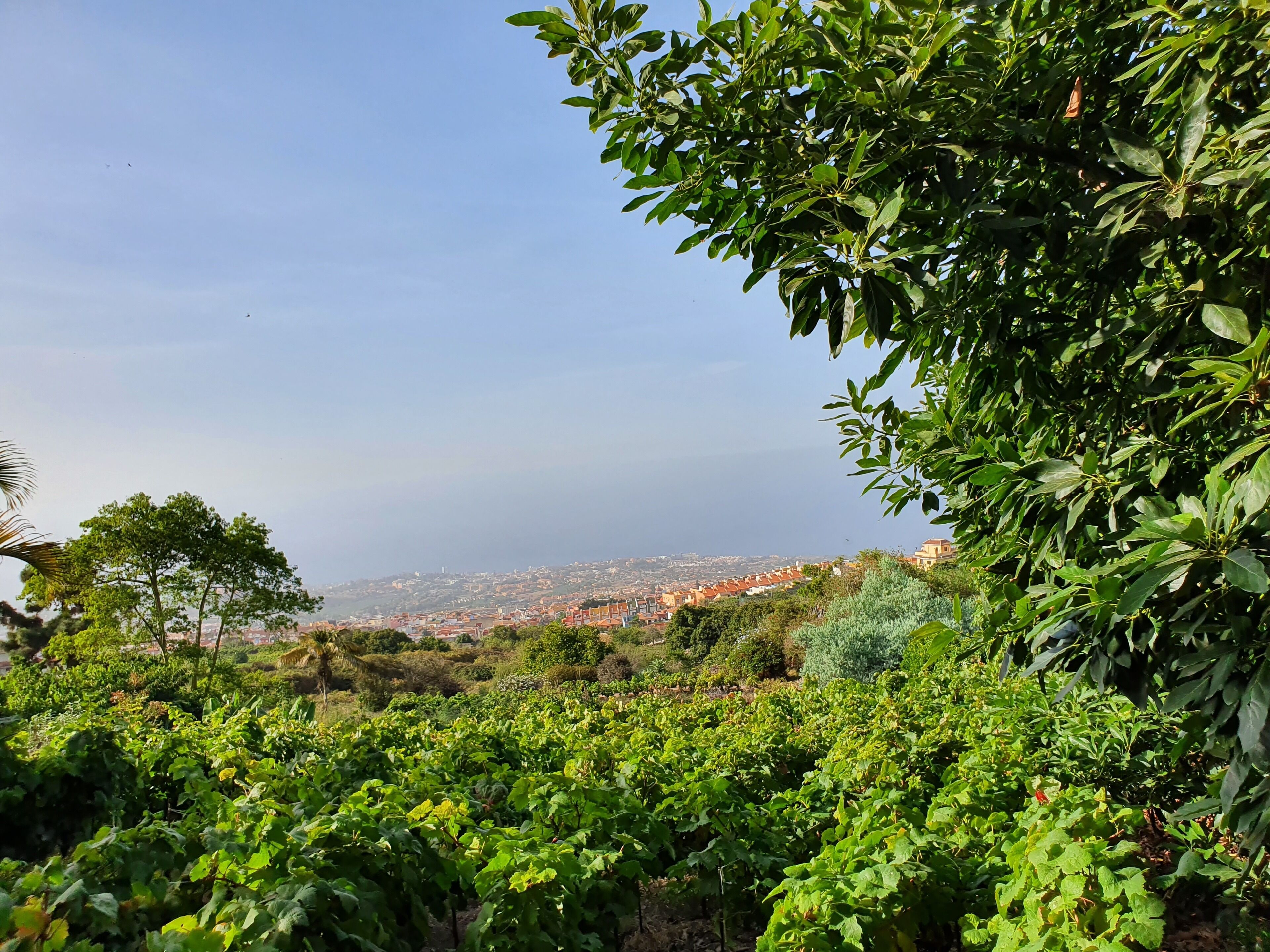 Eco Rural house surrounded by nature and views, WIFI