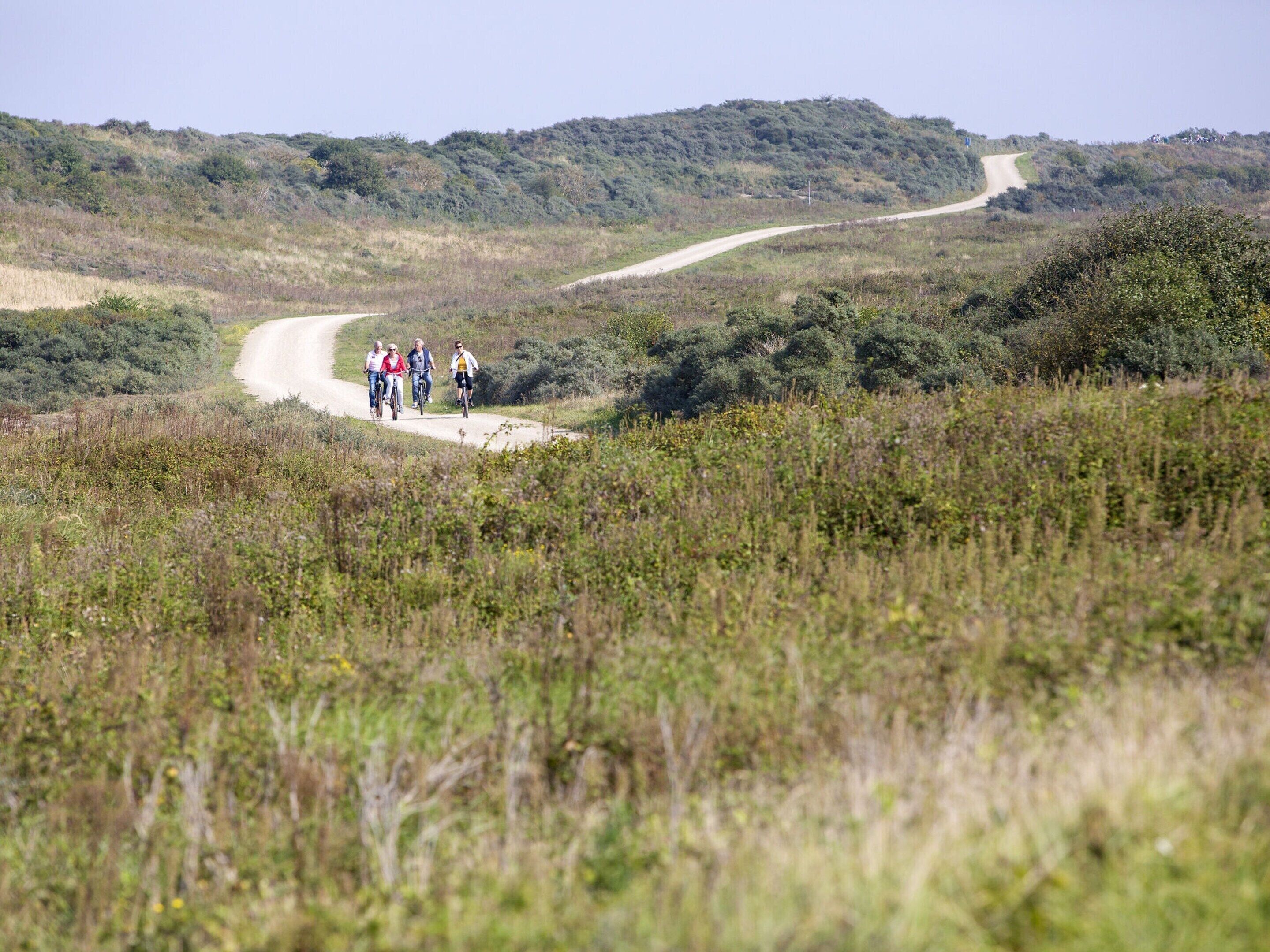 A group of people walking on a dirt path in a natural, hilly landscape.