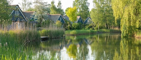 Ferienhaus | Unterkunftsgelände