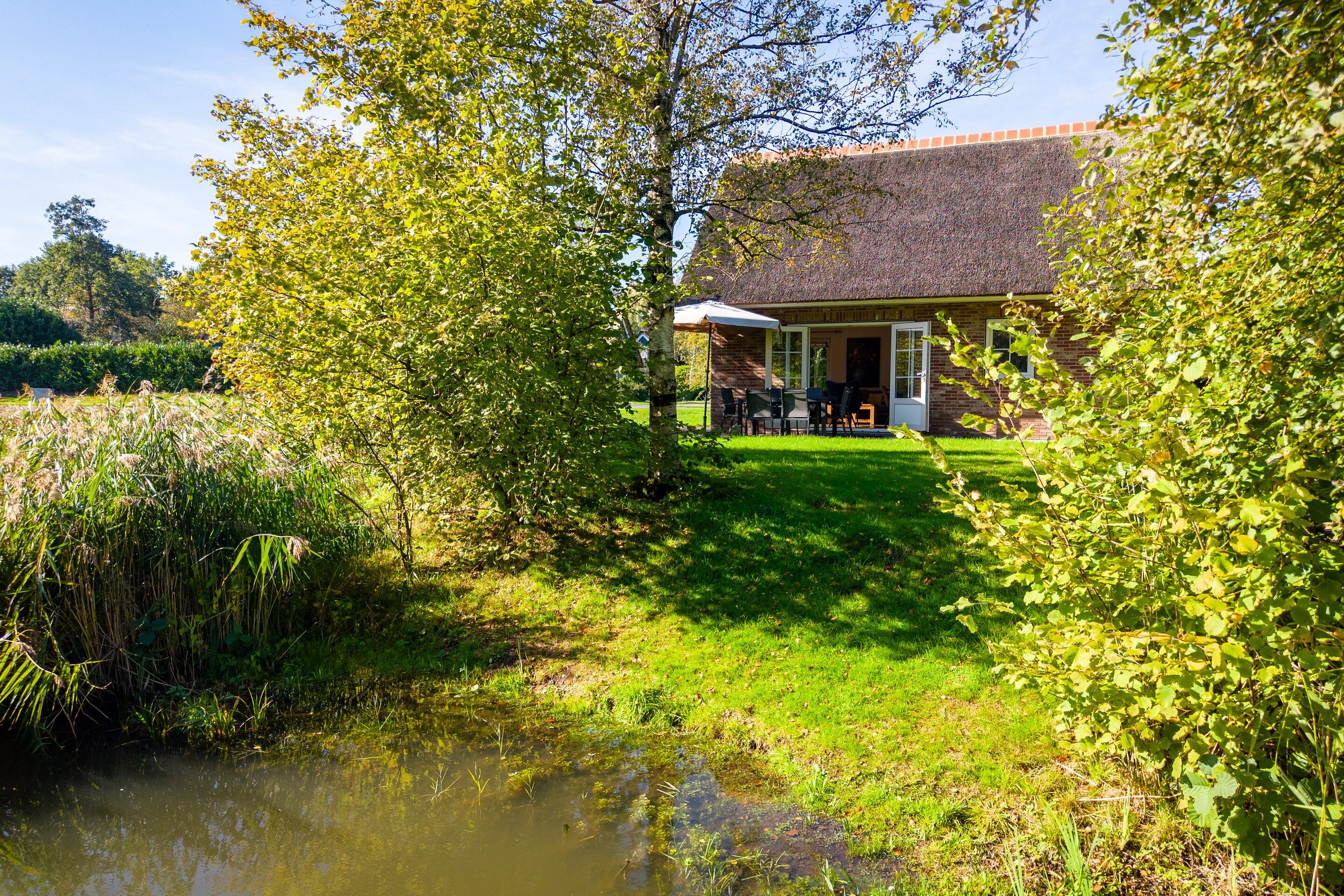 Une maison avec un toit de chaume, une pelouse et un étang.