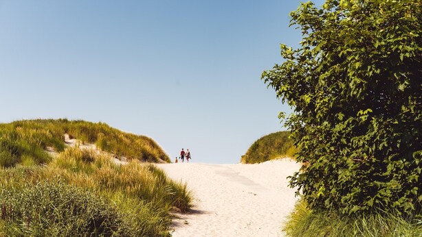 A sandy path flanked by green vegetation, leading to a distant figure. - Comfortable Bungalow With Dishwasher Near the Beach (Hollum)
