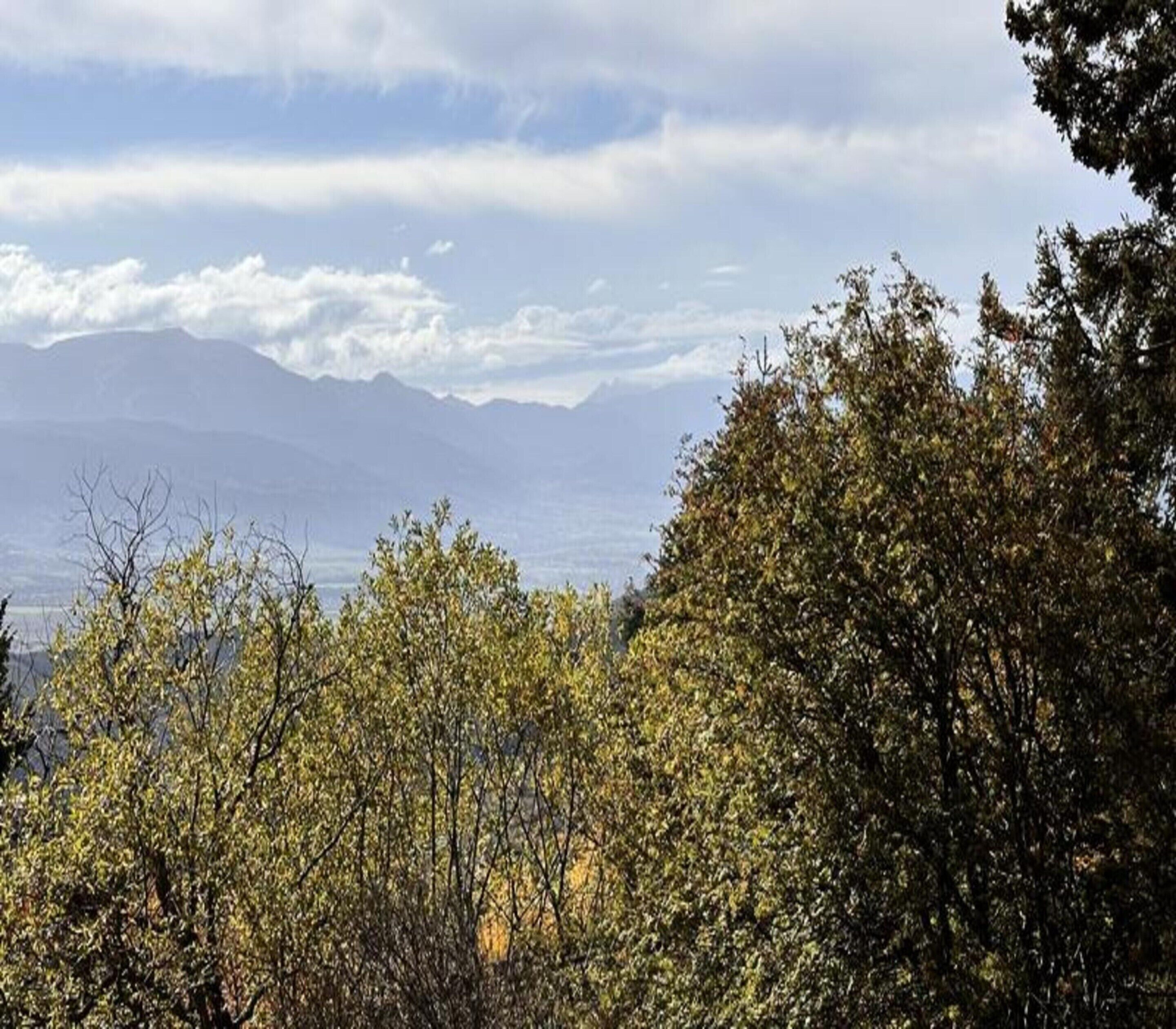 A mountainous landscape with trees in the foreground and a clear sky.