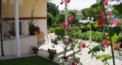 Apartment in Mülsen With Balcony, Heating, Garden Furniture