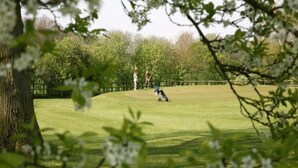 Un champ d’herbe où une personne joue au golf.