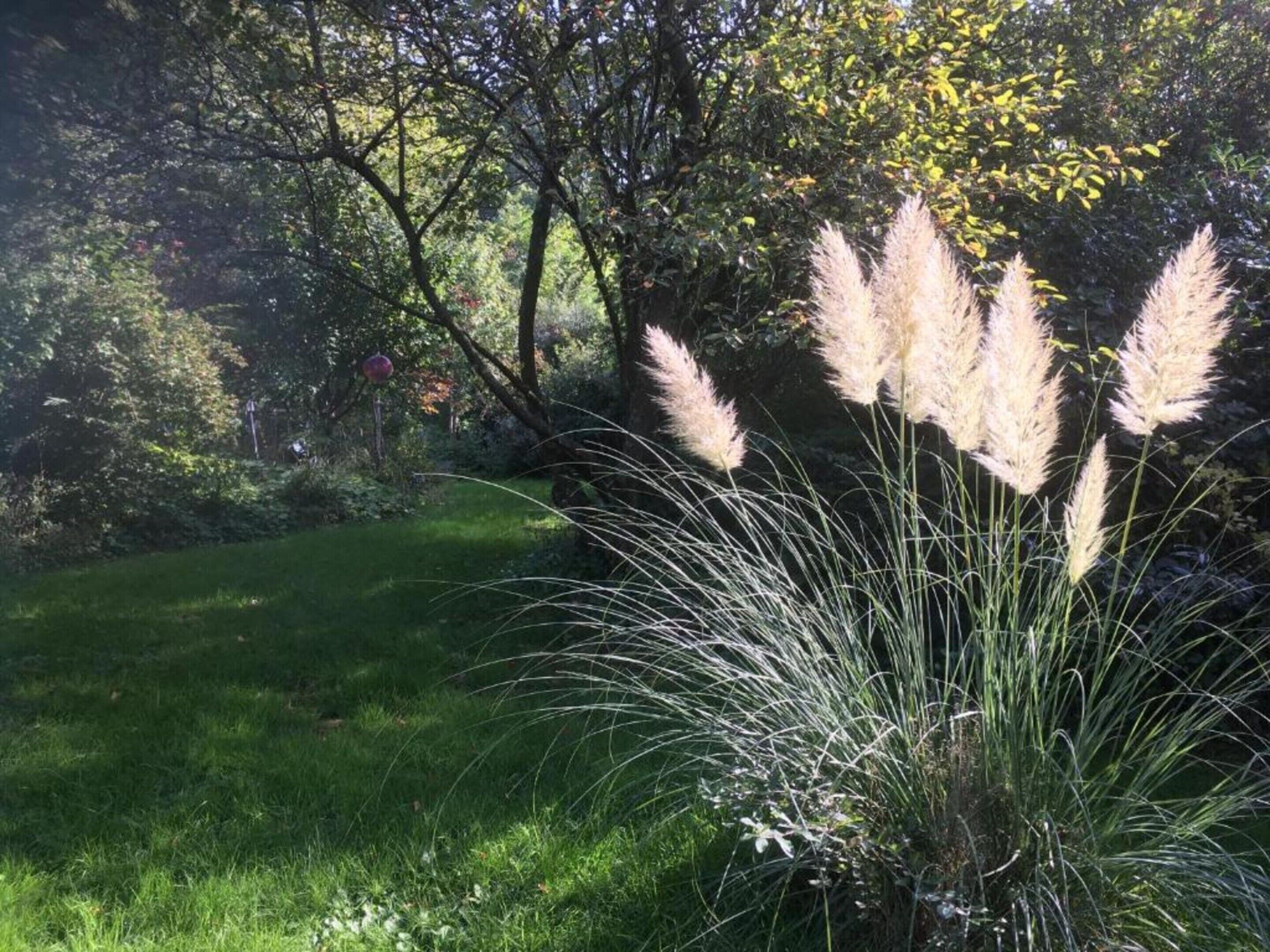 Rumah | Pemandangan dari properti