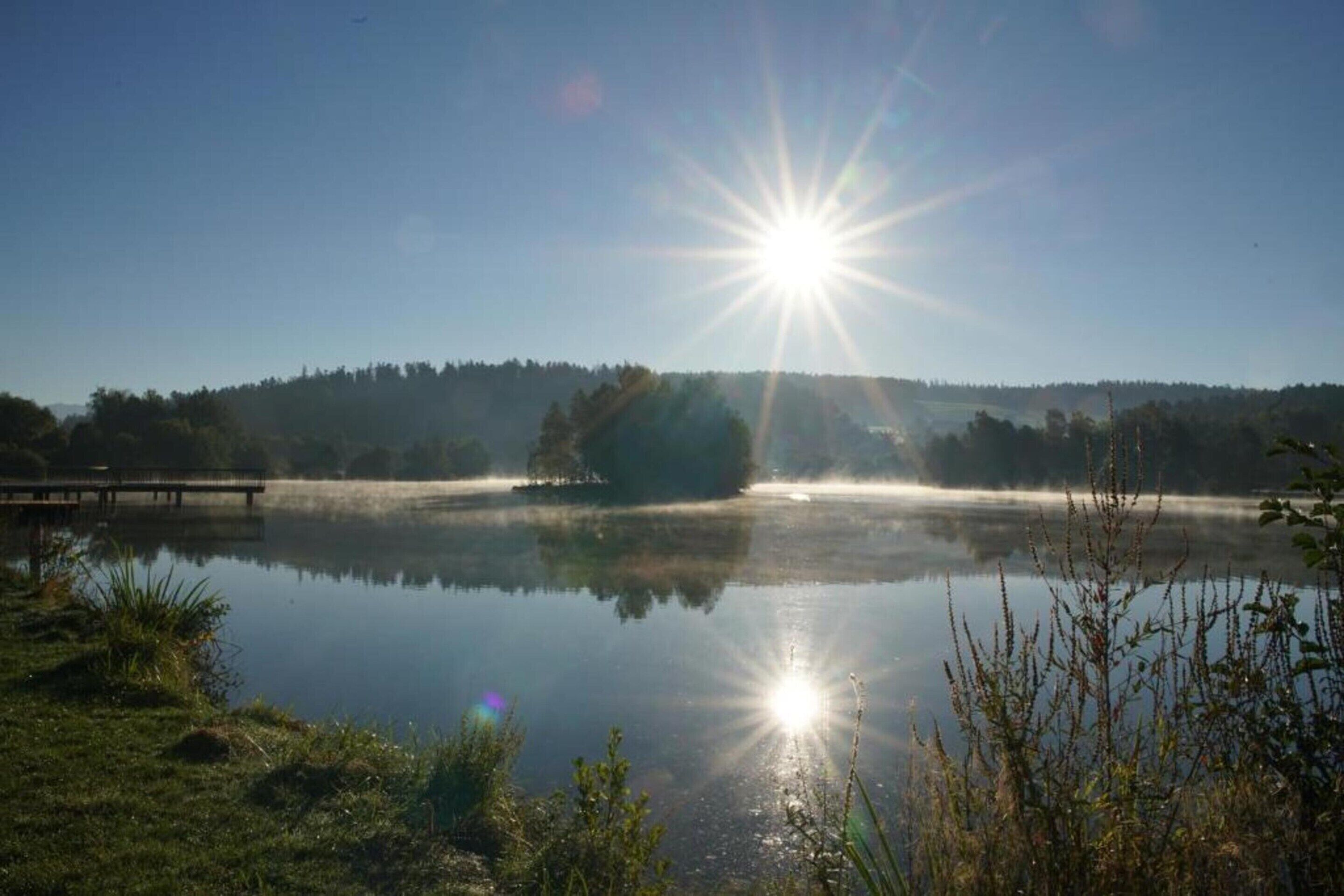 A calm lake with a wooden dock extending into the water, surrounded by grassy areas and trees.