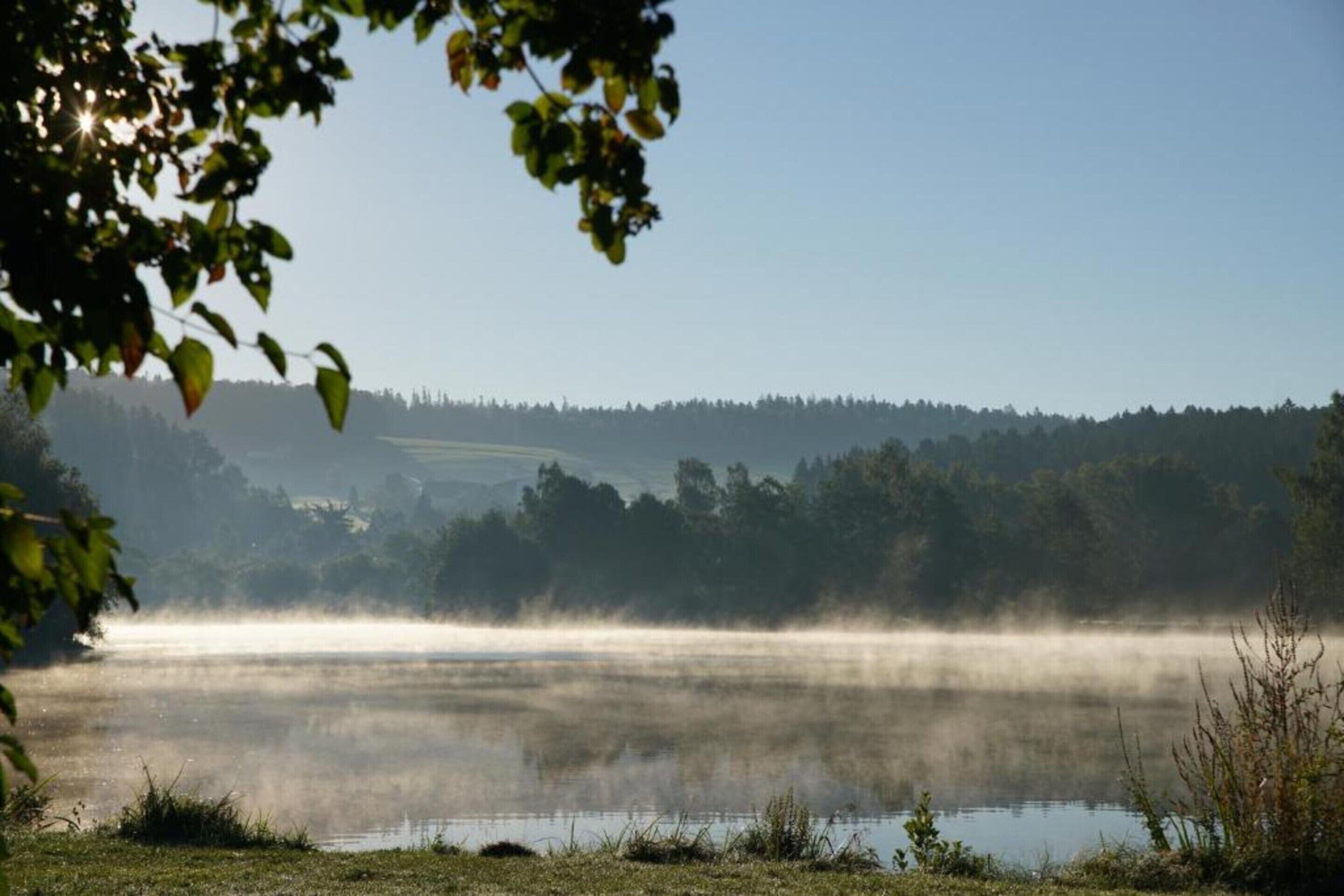 Un lac brumeux, avec une forêt en arrière-plan.