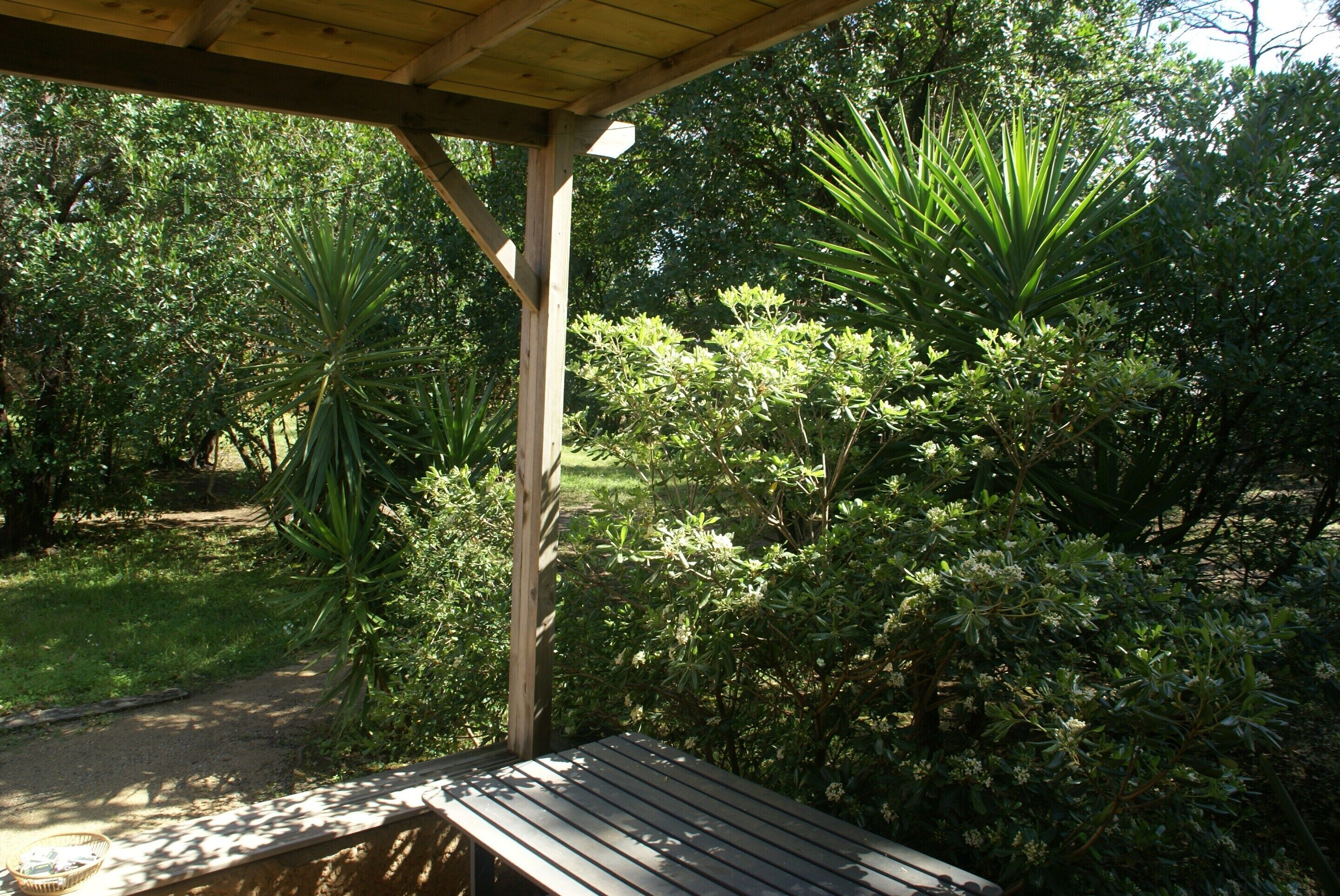 House | Garden
