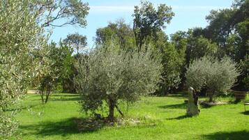 House | Garden