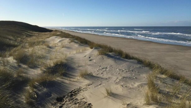 Una playa con dunas de arena y olas del océano.