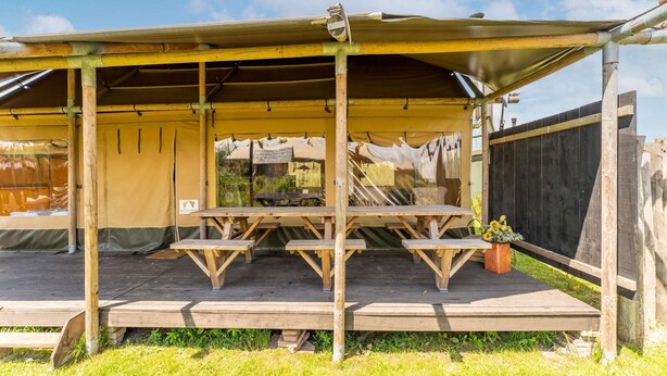 Property grounds - Unique Beach Lodge for 8 People near Beach, Sea, & Village (Callantsoog)