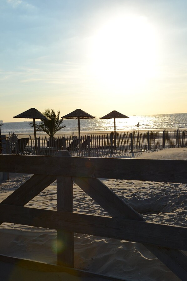 Garden - Bungalow in 's-gravenzande With Nautical Charm ('s-Gravenzande)