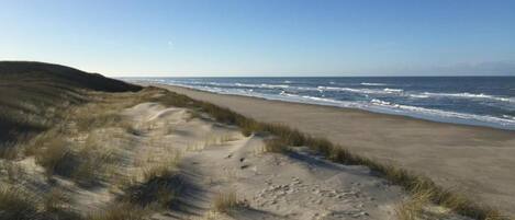A beach with sand dunes and ocean waves.