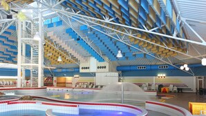 Pool - Luxury Chalet With two Bathrooms, Near the sSa on Texel (De Koog)