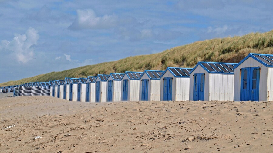 Luxury Chalet With two Bathrooms, Near the sSa on Texel