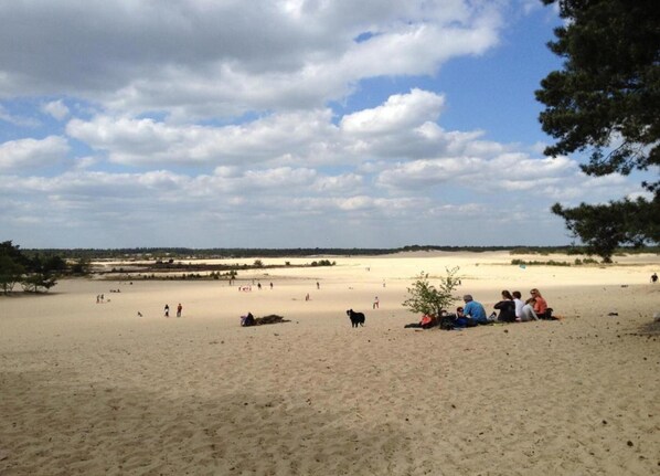 Chalet | View from property - Chalet Near Loonse and Drunense Dunes (Udenhout)