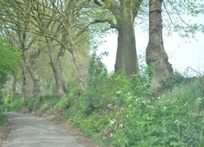 ハウス | 施設からの眺望