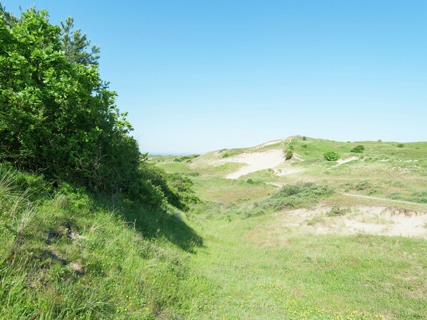 Un paysage verdoyant, avec un sentier de terre qui mène à une colline.