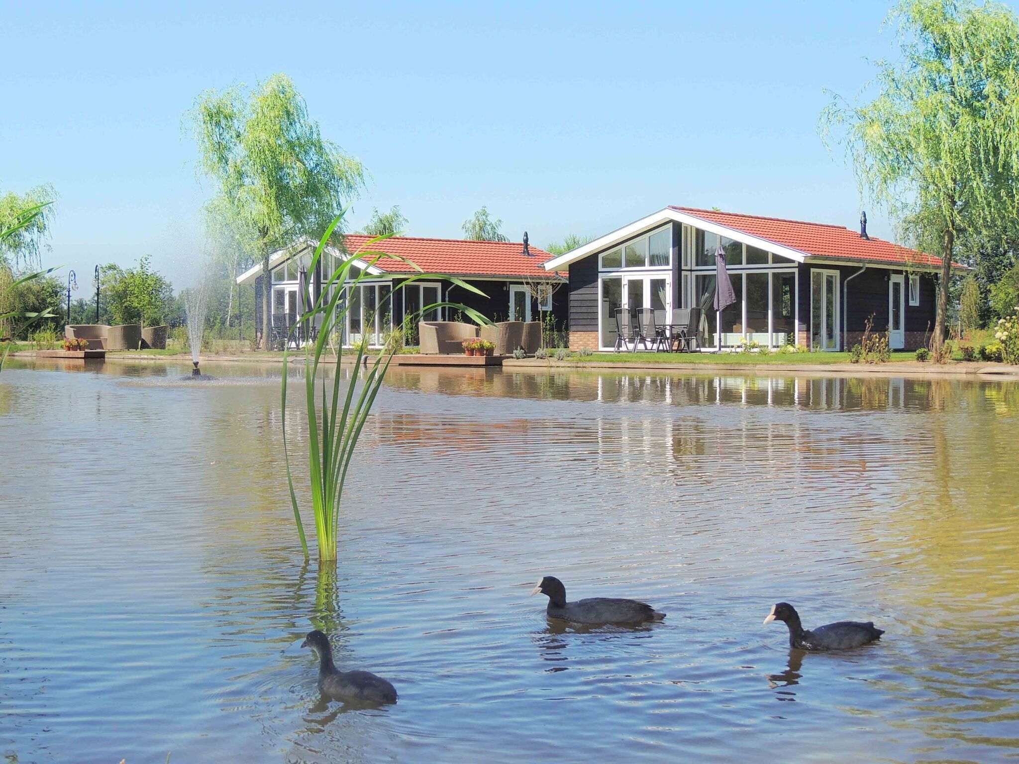 Comfortable, Light Chalet With Dishwasher, on a Holiday Park in the Achterhoek