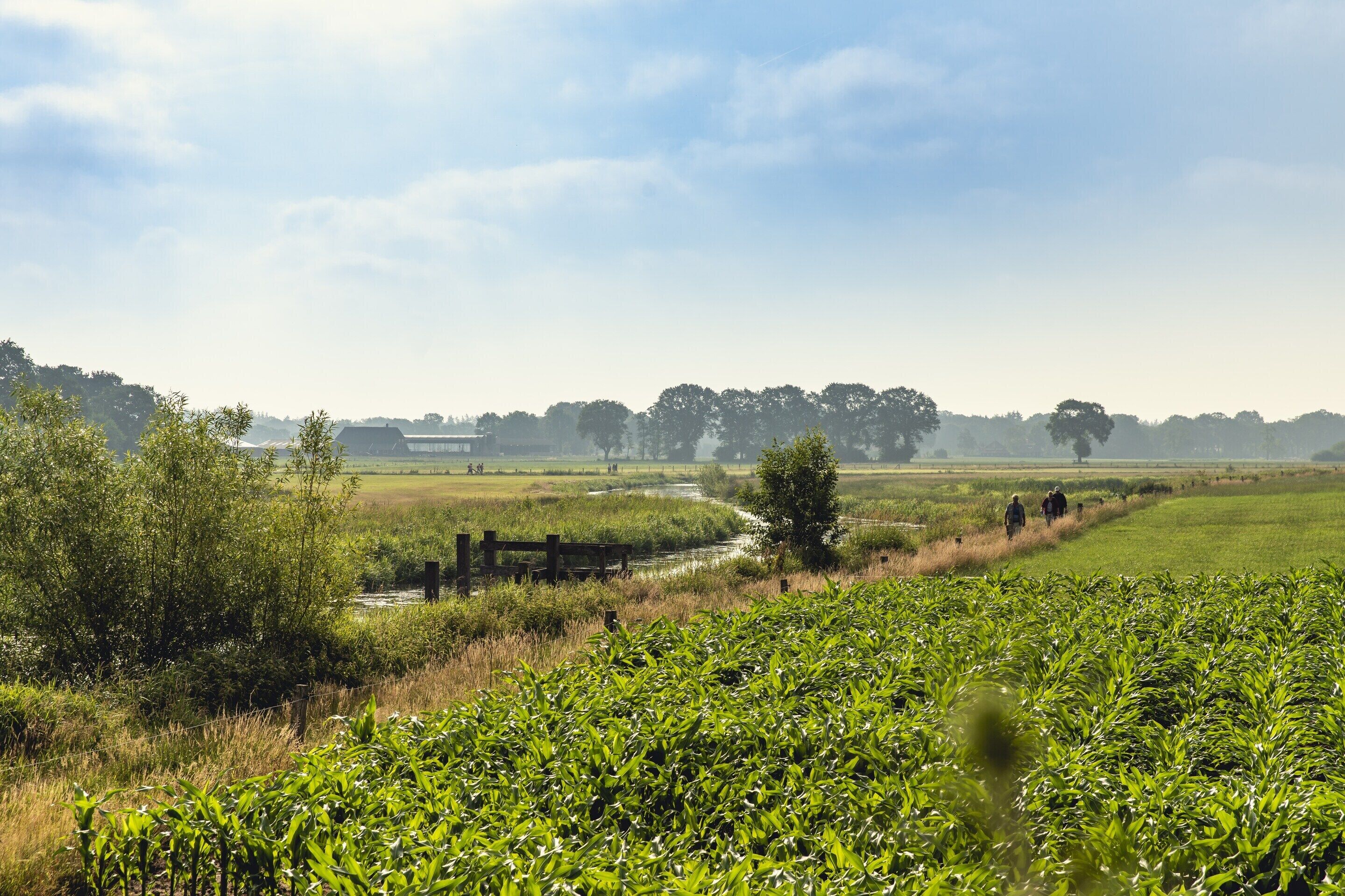 A rural landscape with a river, fields, and trees.