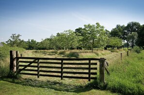 House | View from property - Stylish Farmhouse Escape (Wierden)