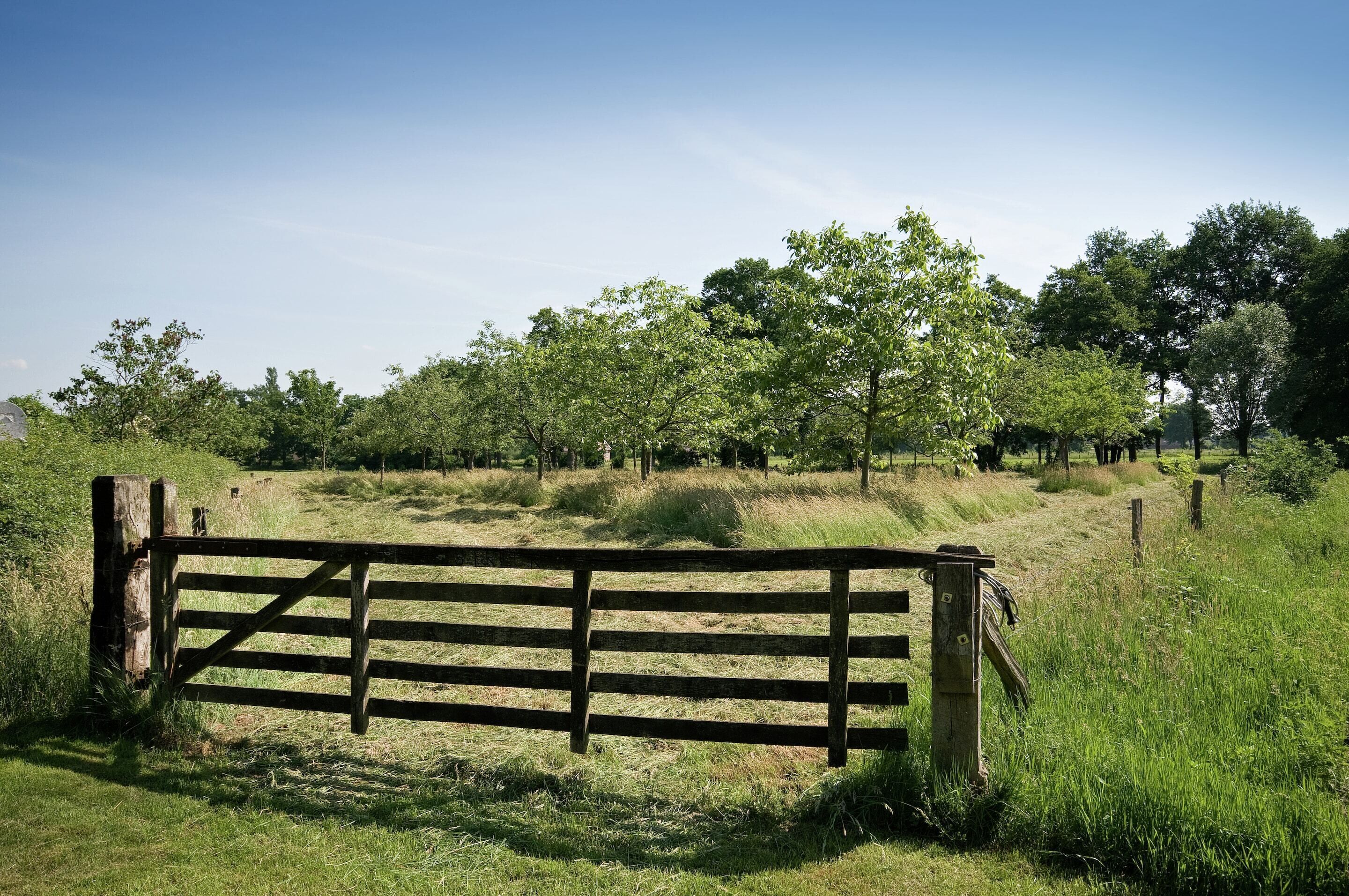 A wooden gate in a grassy field with trees in the background.