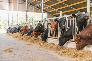 Casa | Sala de juegos