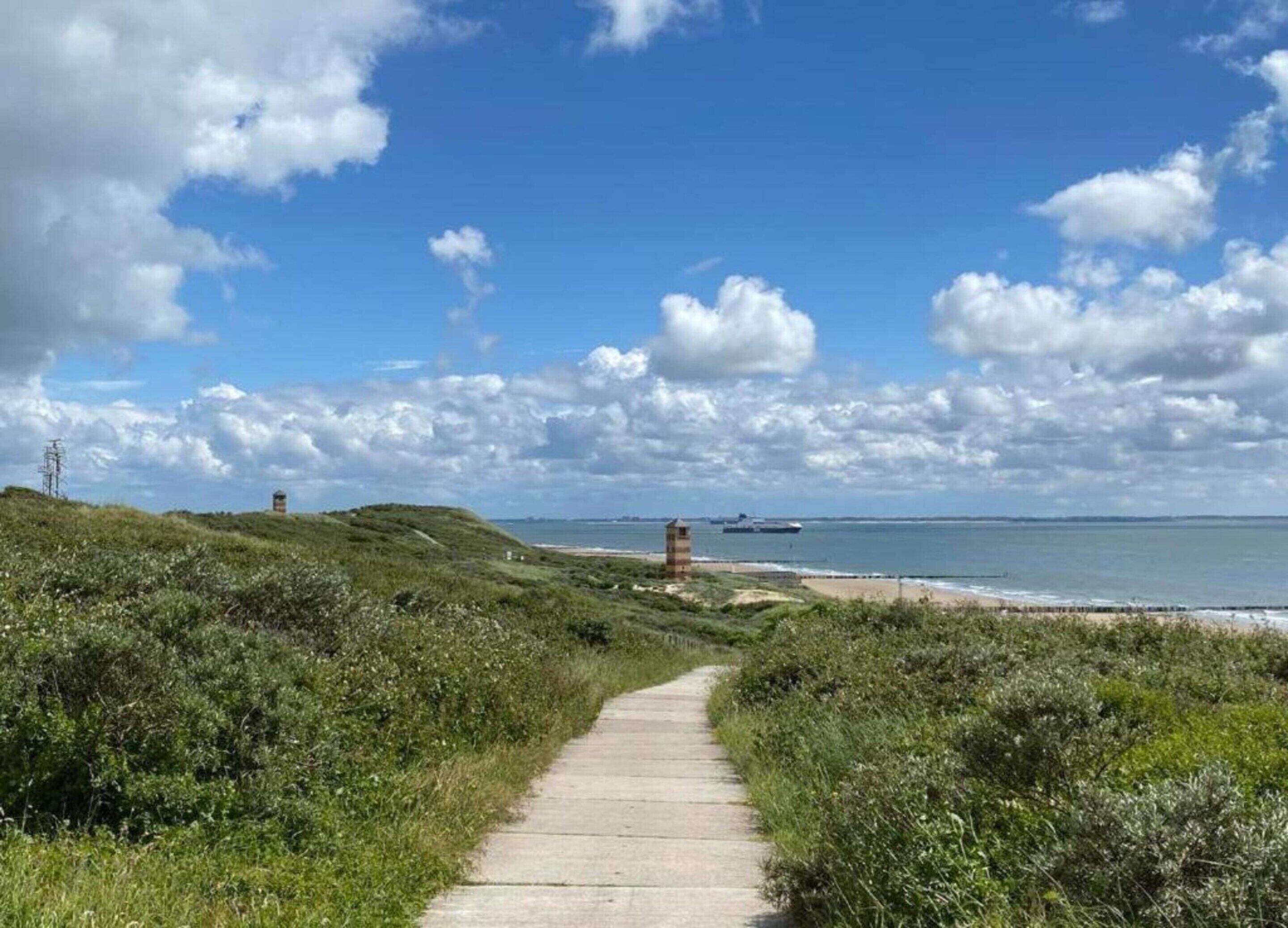 A coastal path leading to a beach with a ship in the distance and a lighthouse on the shore.