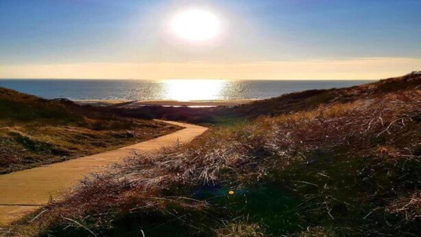 Ein Küstenpfad führt zum Meer, der Himmel ist klar und die Sonne scheint.