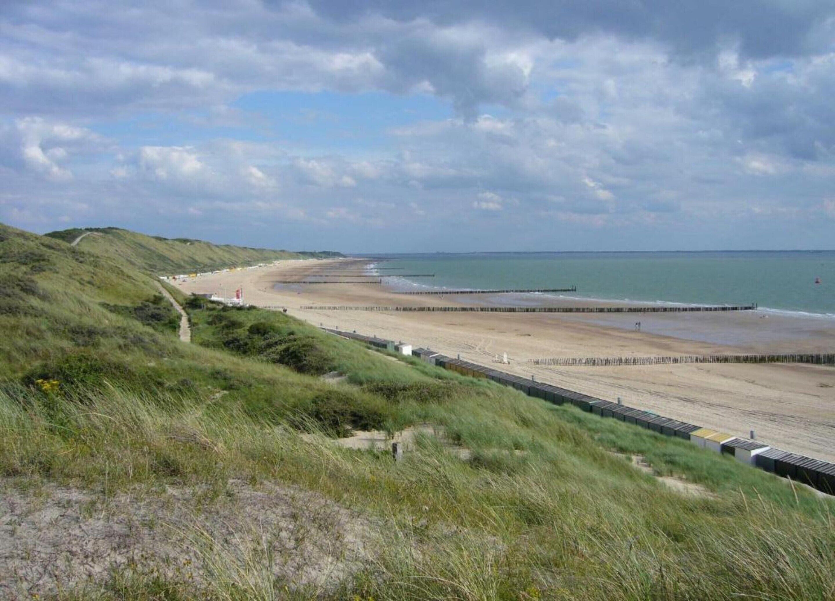 A coastal landscape with a beach, grassy hills, and a clear sky.