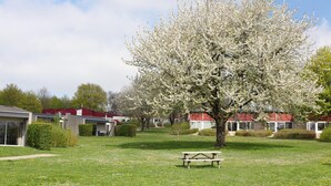 A park with a picnic table and a large blooming tree.