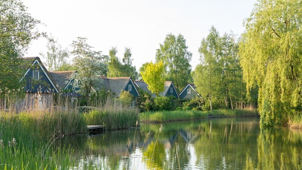 A row of traditional houses with sloped roofs, situated beside a calm pond with tall grasses and trees reflecting in the water.