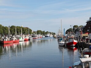 Boats docked along the marina's edge, offering serene waterfront views.
